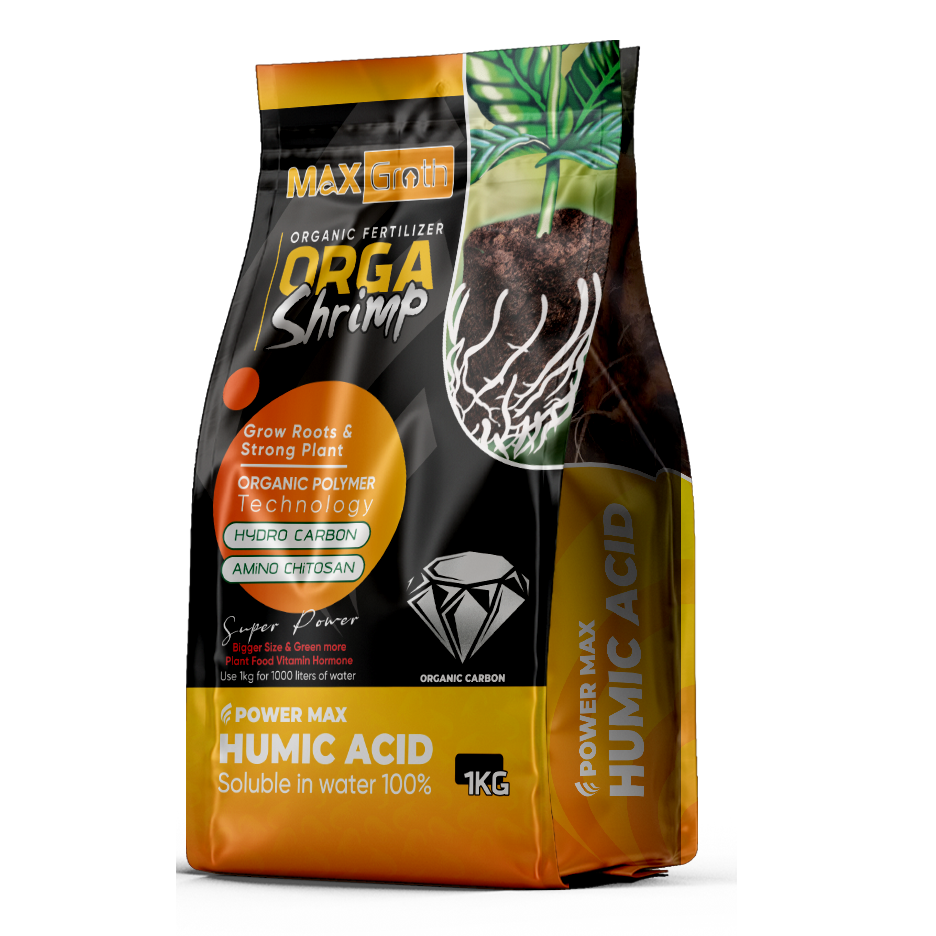 Orgashrimp vàng upload Orgashrimp vàng upload